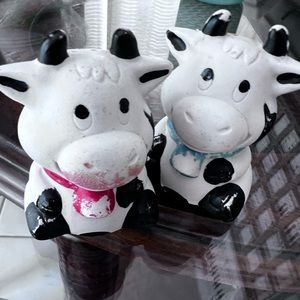 Salt N Pepper Shakers